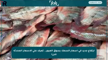 ارتفاع جديد في أسعار السمك بسوق العبور.. تعرف على الأسعار المحدثة الآن!
